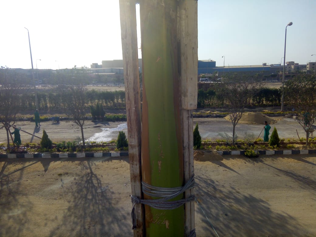 AIG Pharma - صورة 6