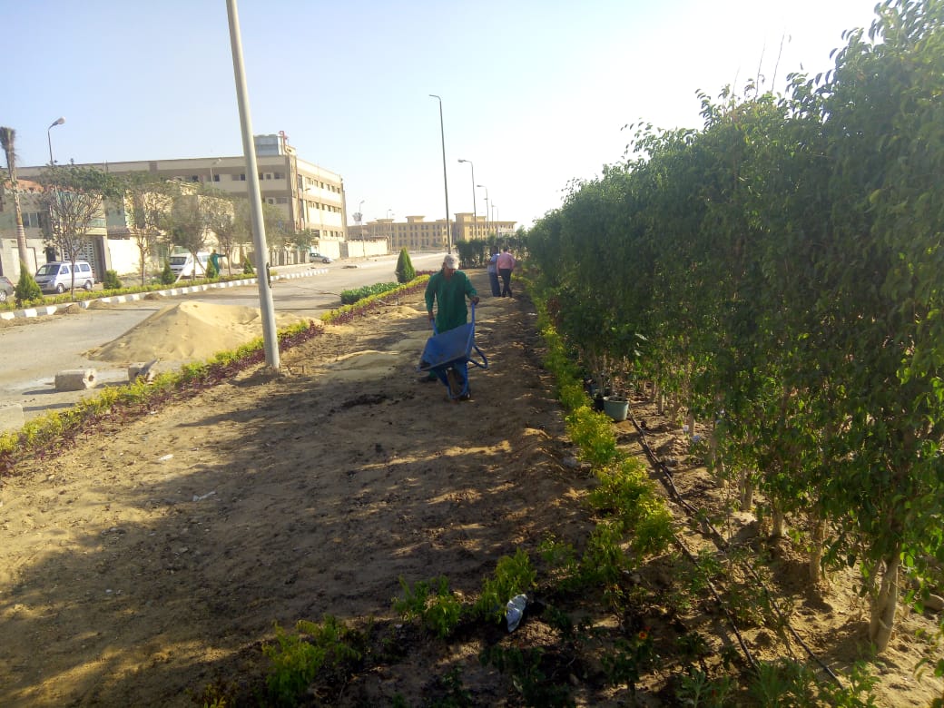 AIG Pharma - صورة 10