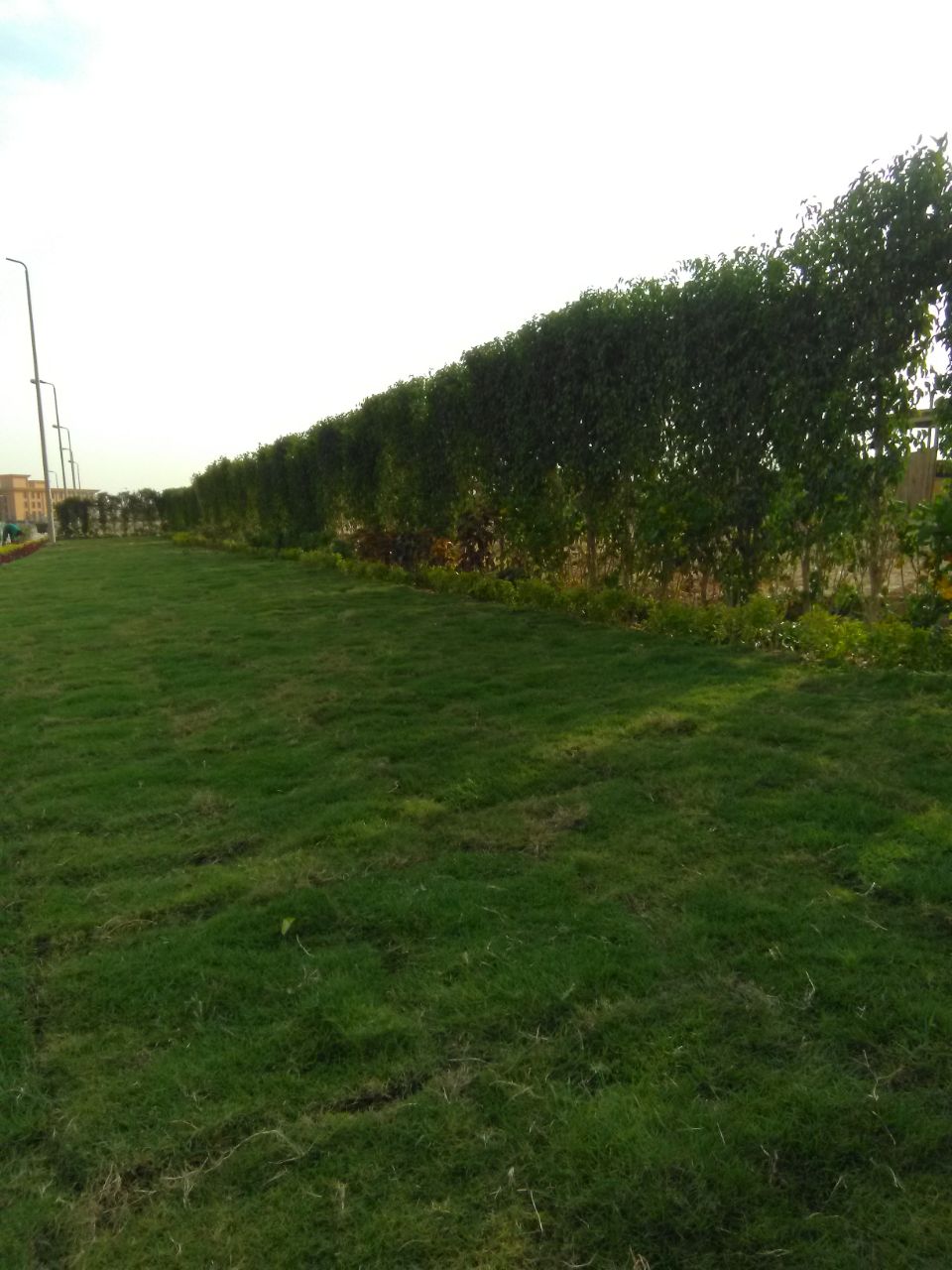 AIG Pharma - صورة 18