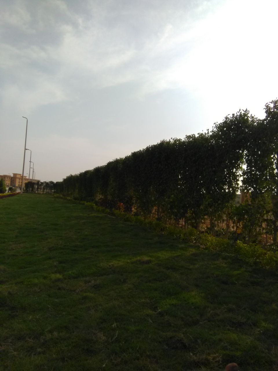 AIG Pharma - صورة 20