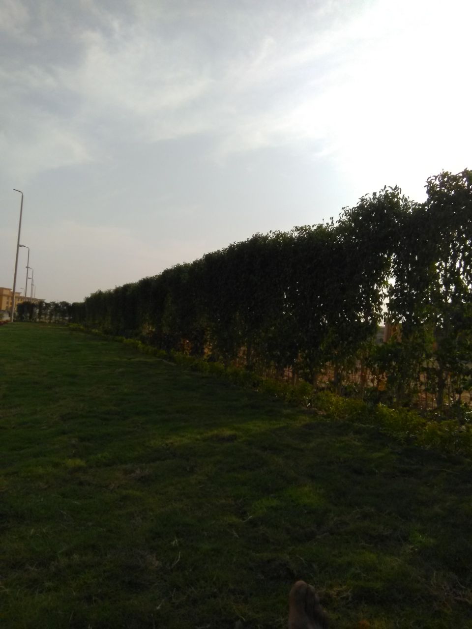 AIG Pharma - صورة 24