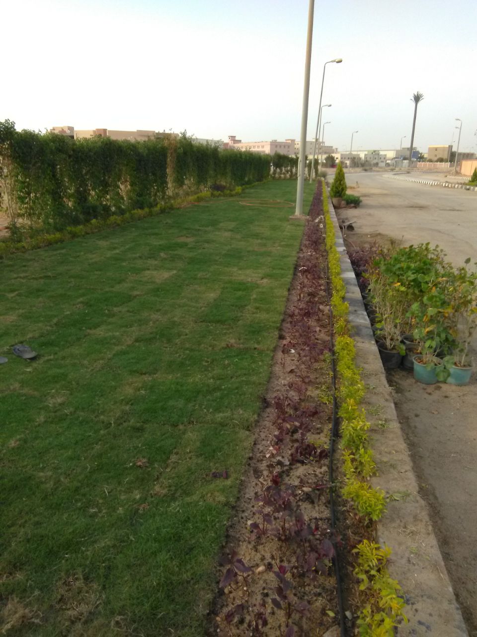 AIG Pharma - صورة 25