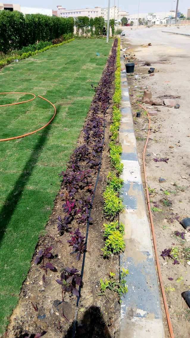 AIG Pharma - صورة 34