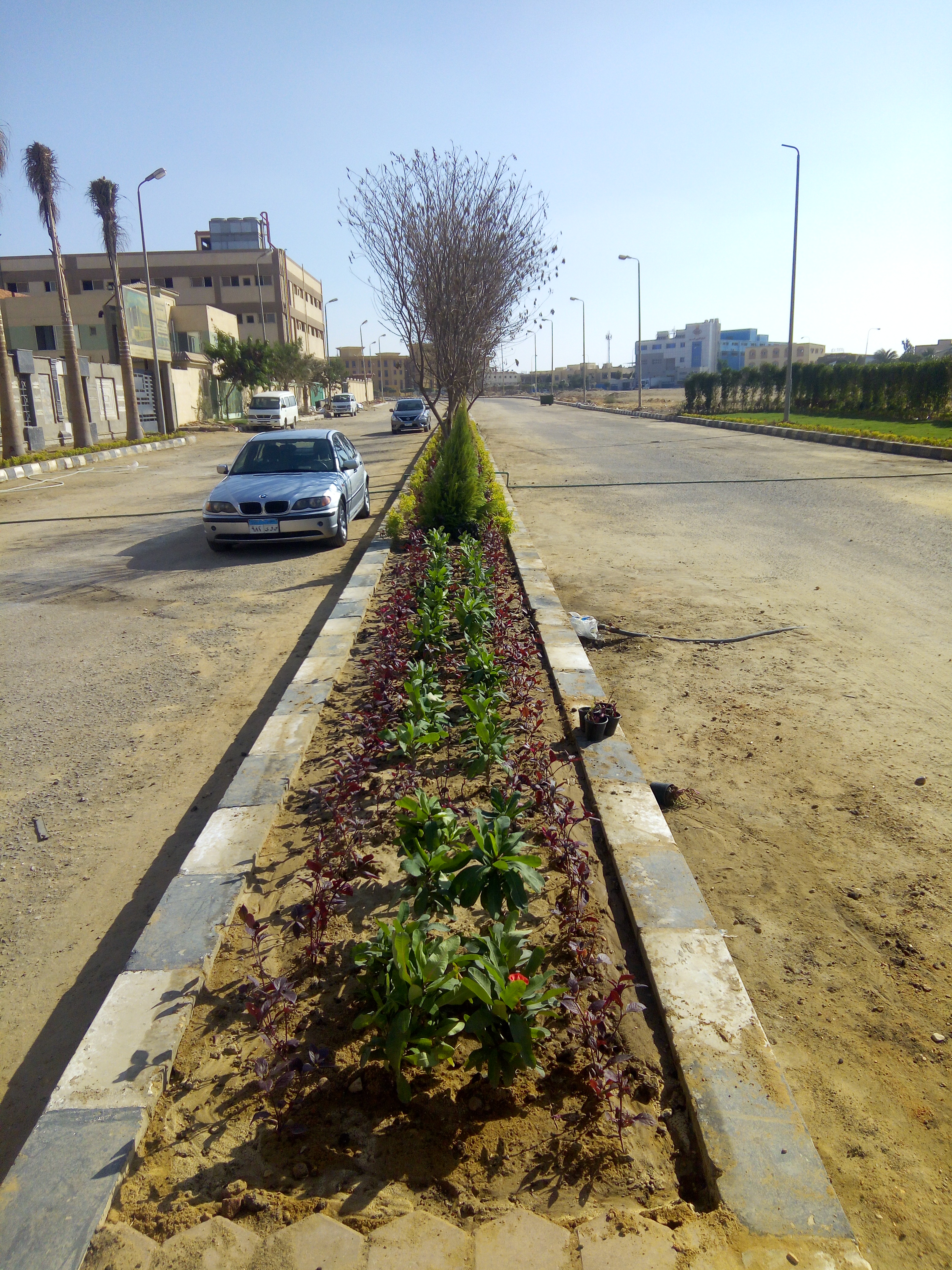 AIG Pharma - صورة 38