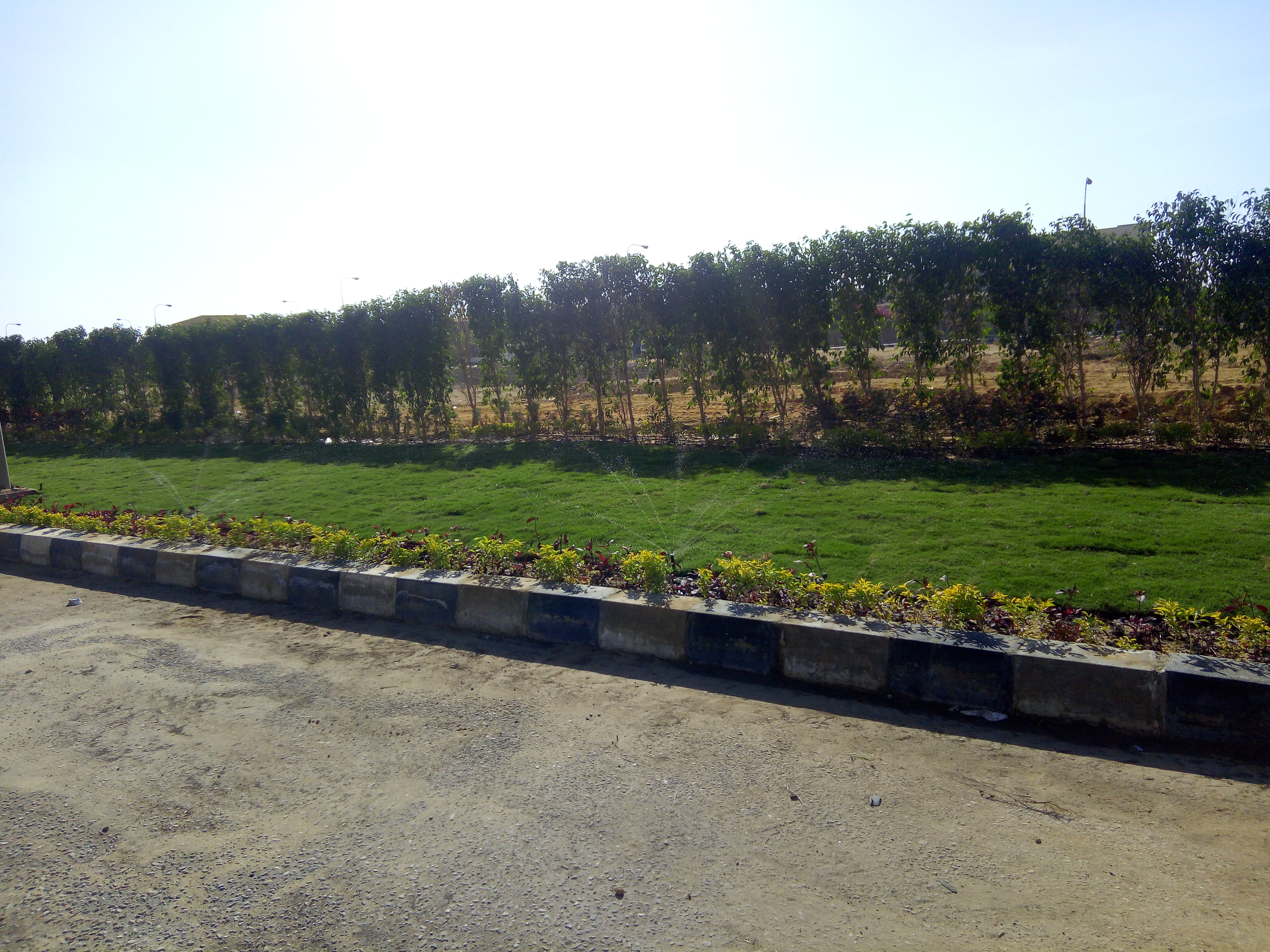 AIG Pharma - صورة 39