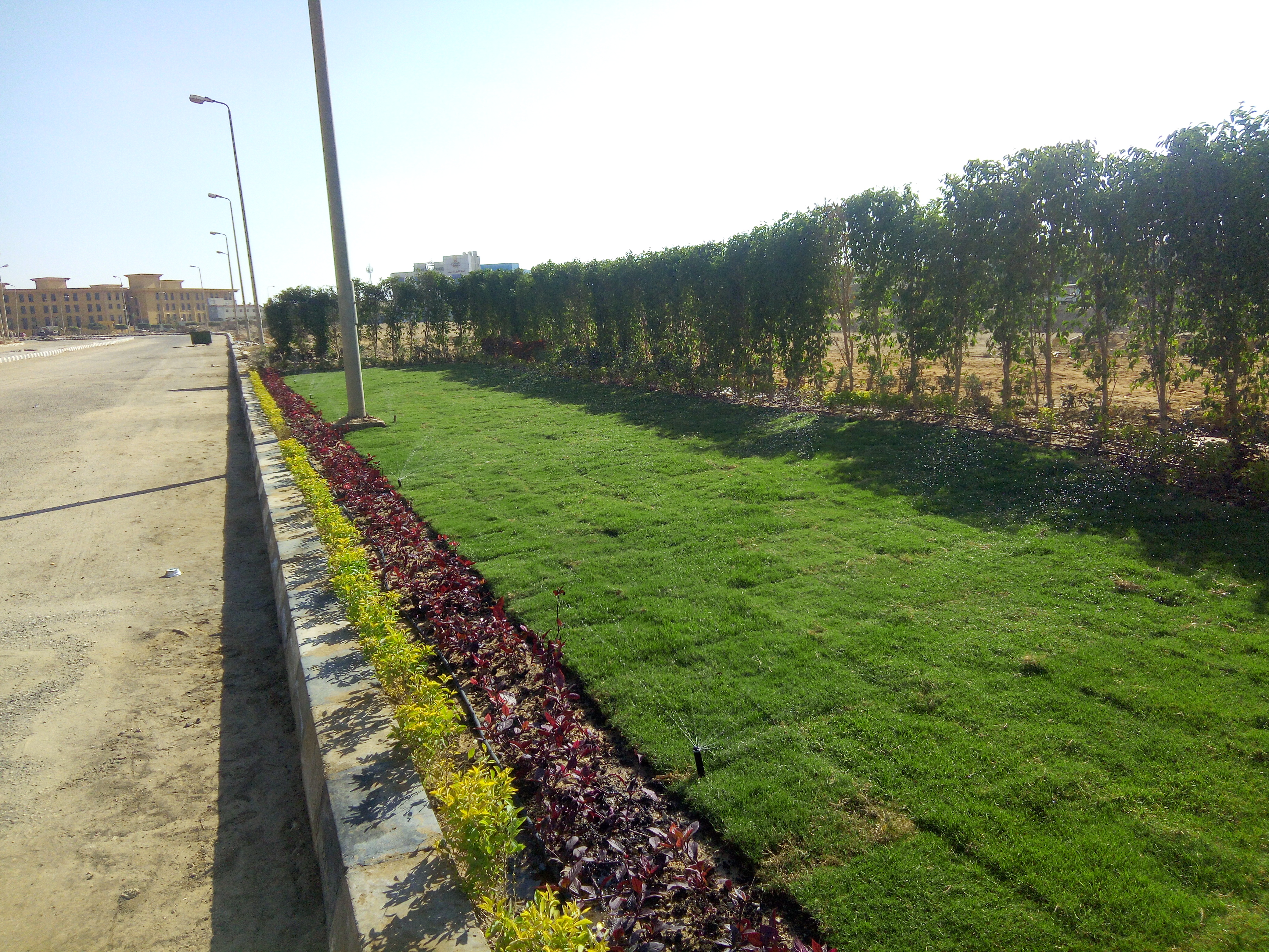 AIG Pharma - صورة 40