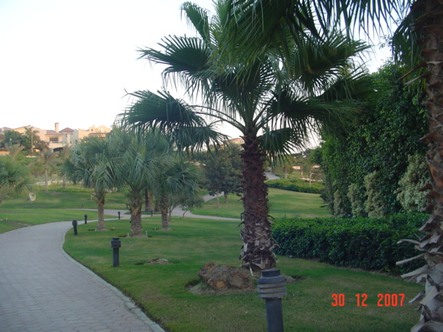 نادي أرابيلا الريفي - صورة 1