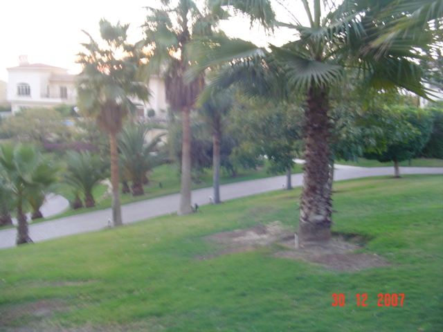 نادي أرابيلا الريفي - صورة 8