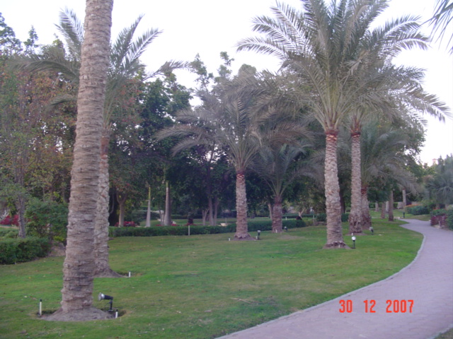 نادي أرابيلا الريفي - صورة 9