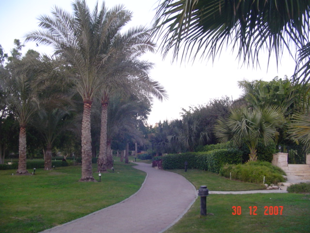 نادي أرابيلا الريفي