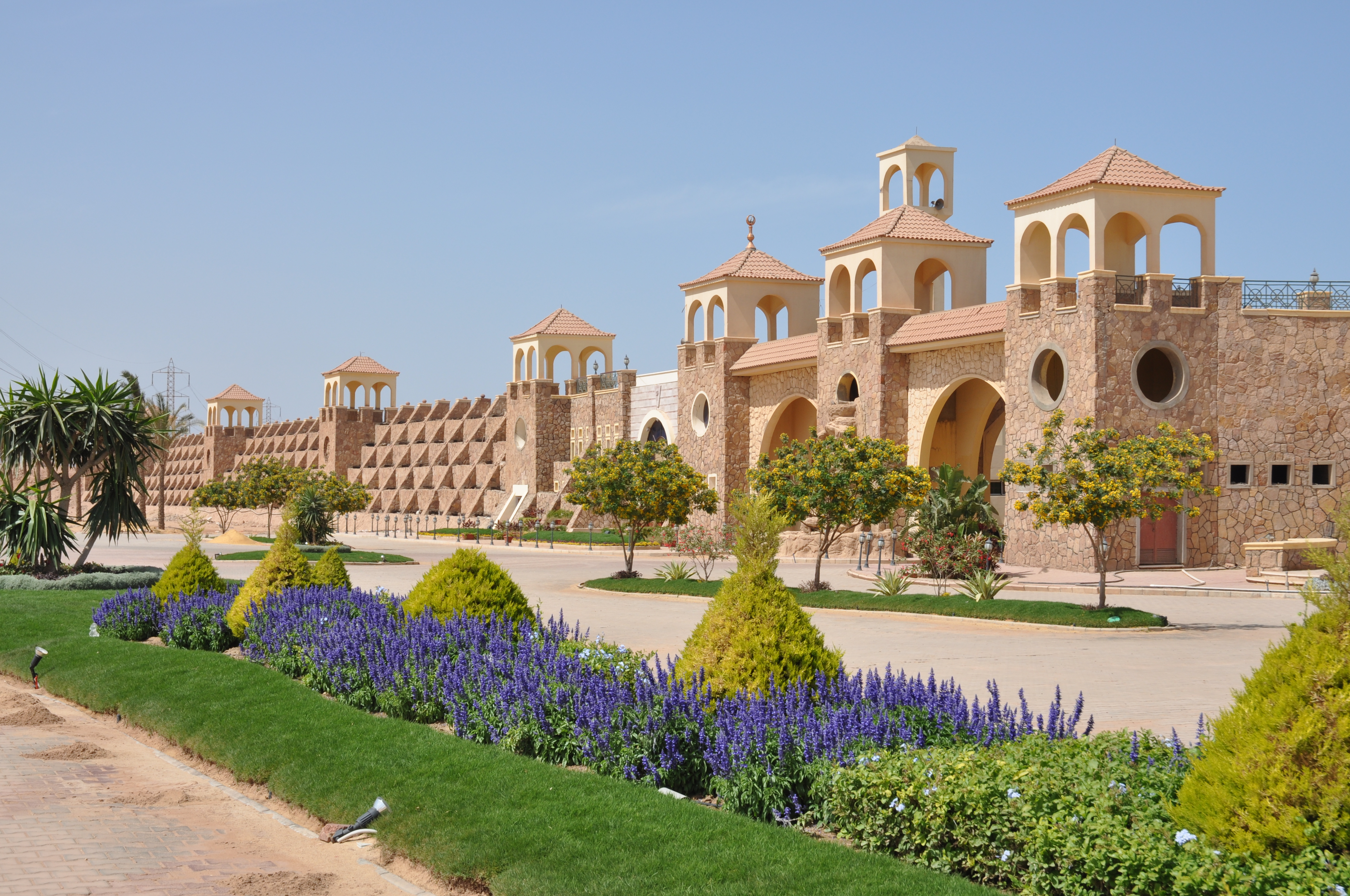 أريج - صورة 8