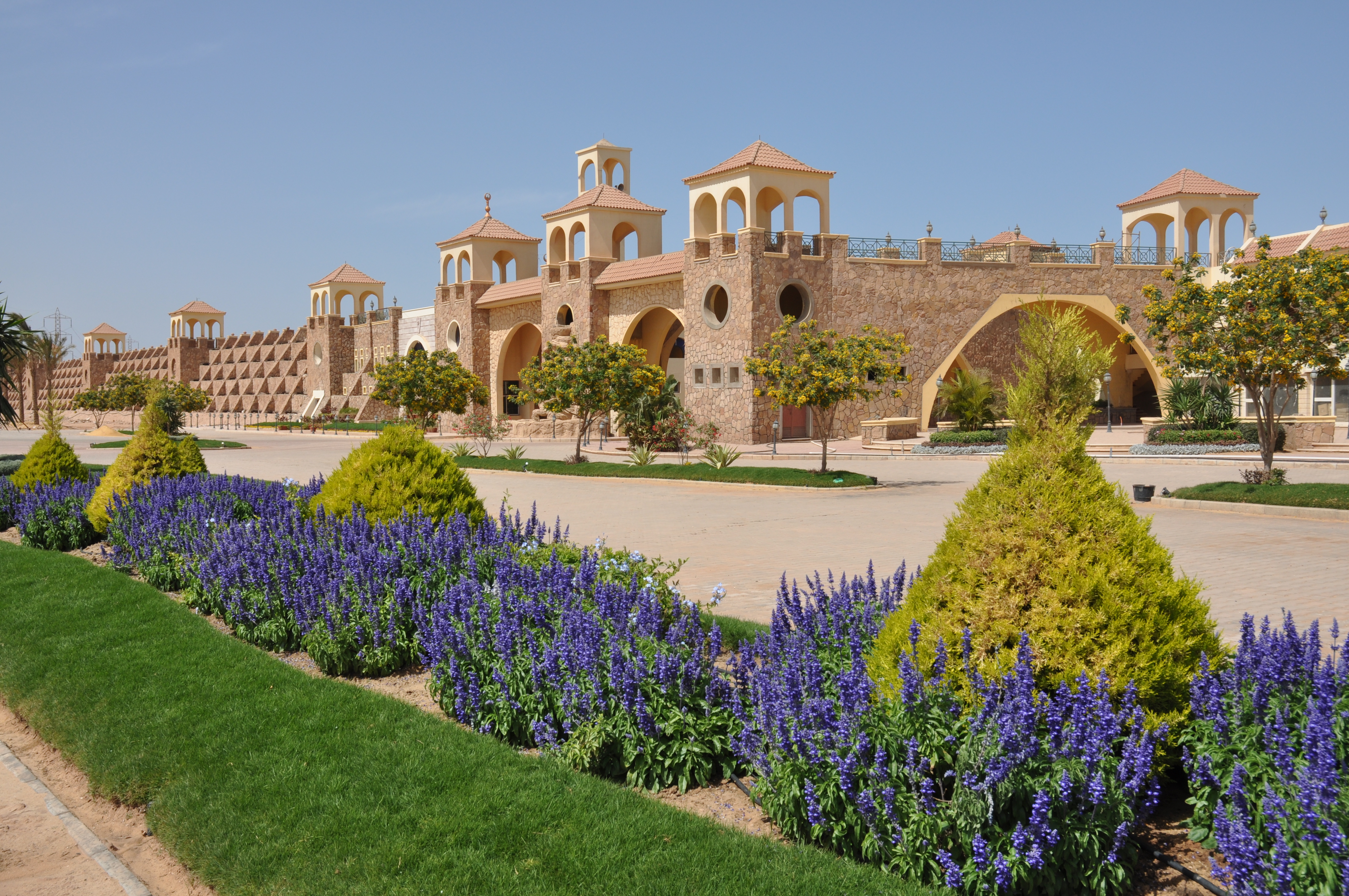 أريج - صورة 9