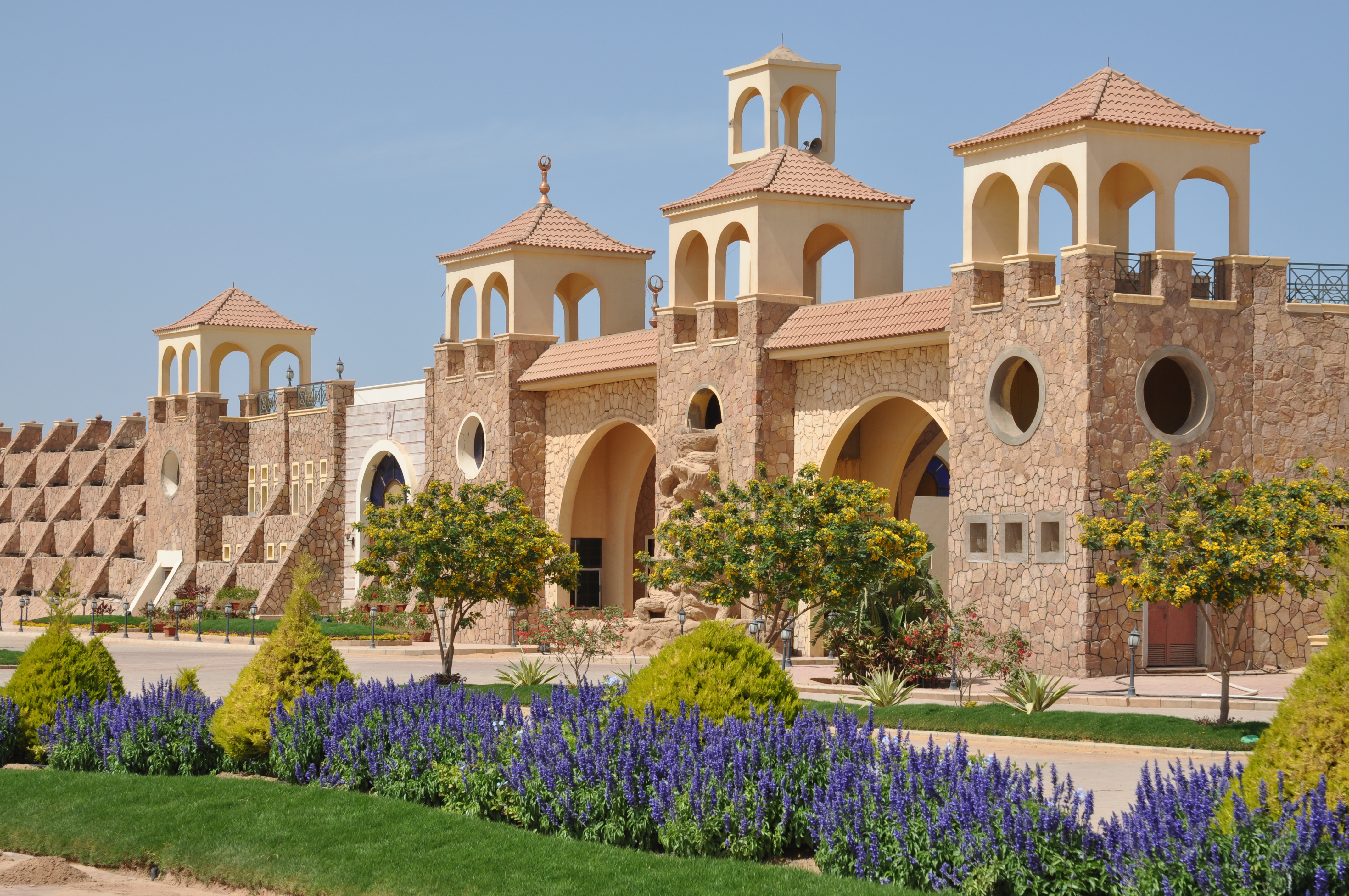 أريج - صورة 11