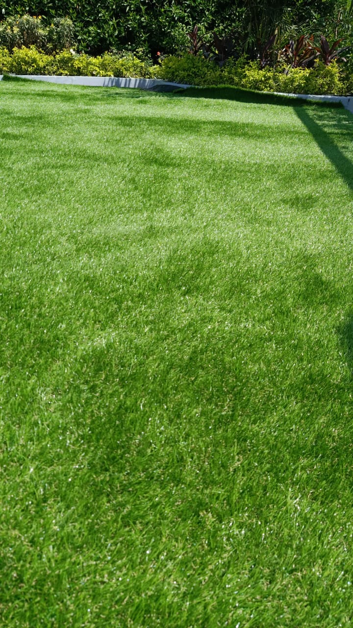 حديقة نجيل اصطناعية - صورة 3