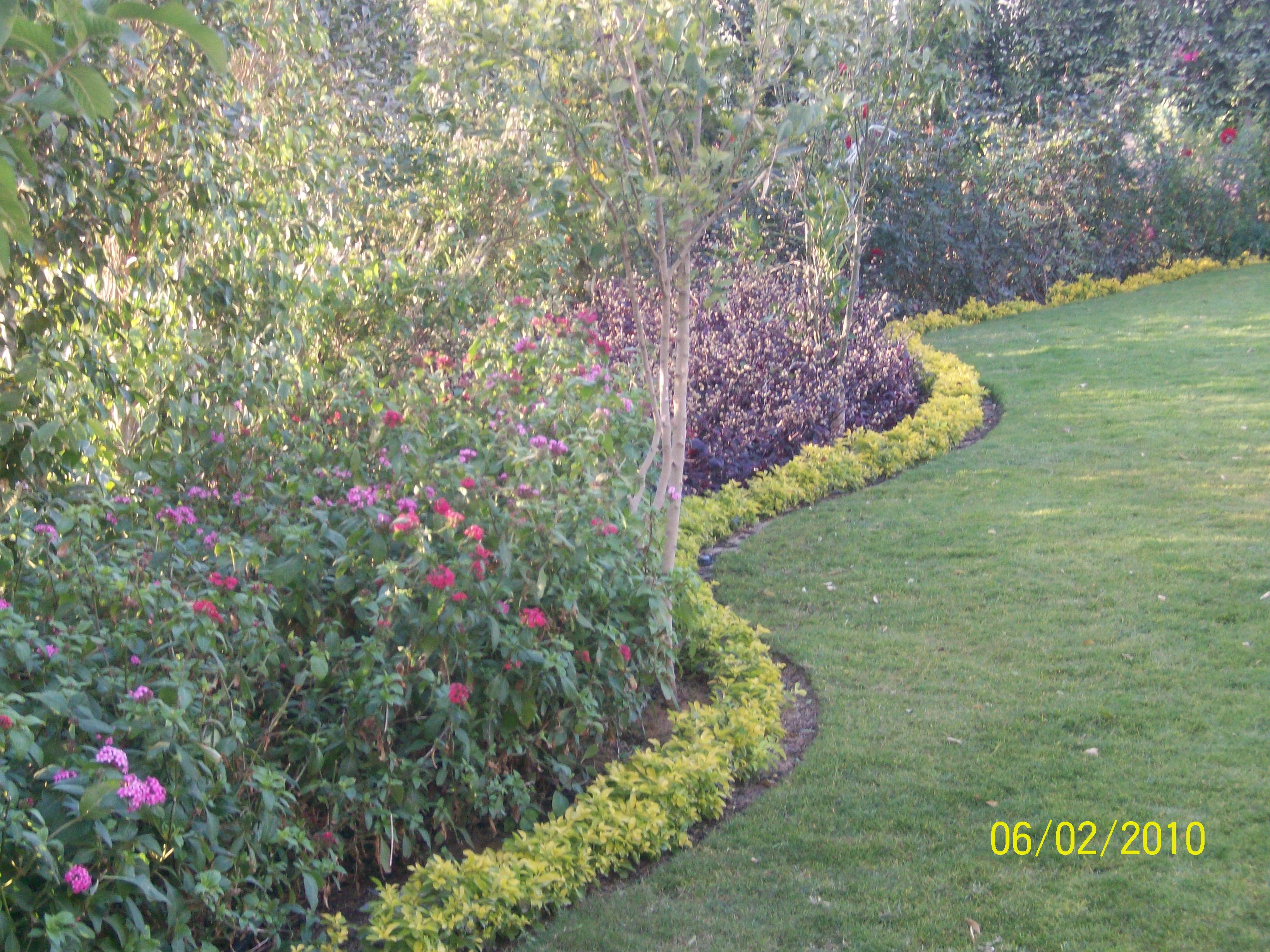 فيلا شخصية - 6 أكتوبر - صورة 5