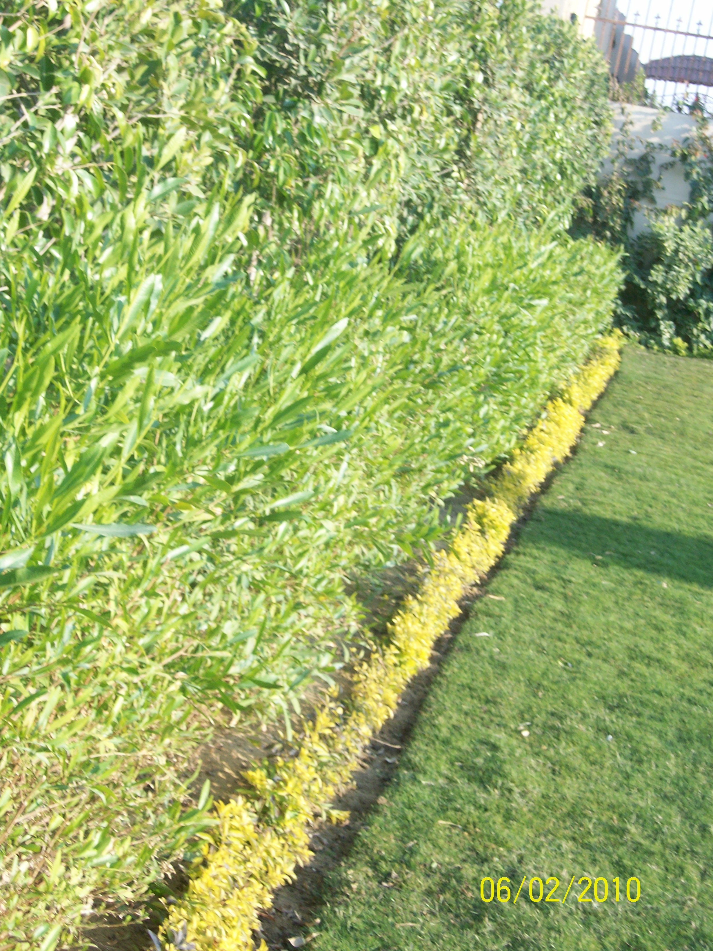 فيلا شخصية - 6 أكتوبر - صورة 6