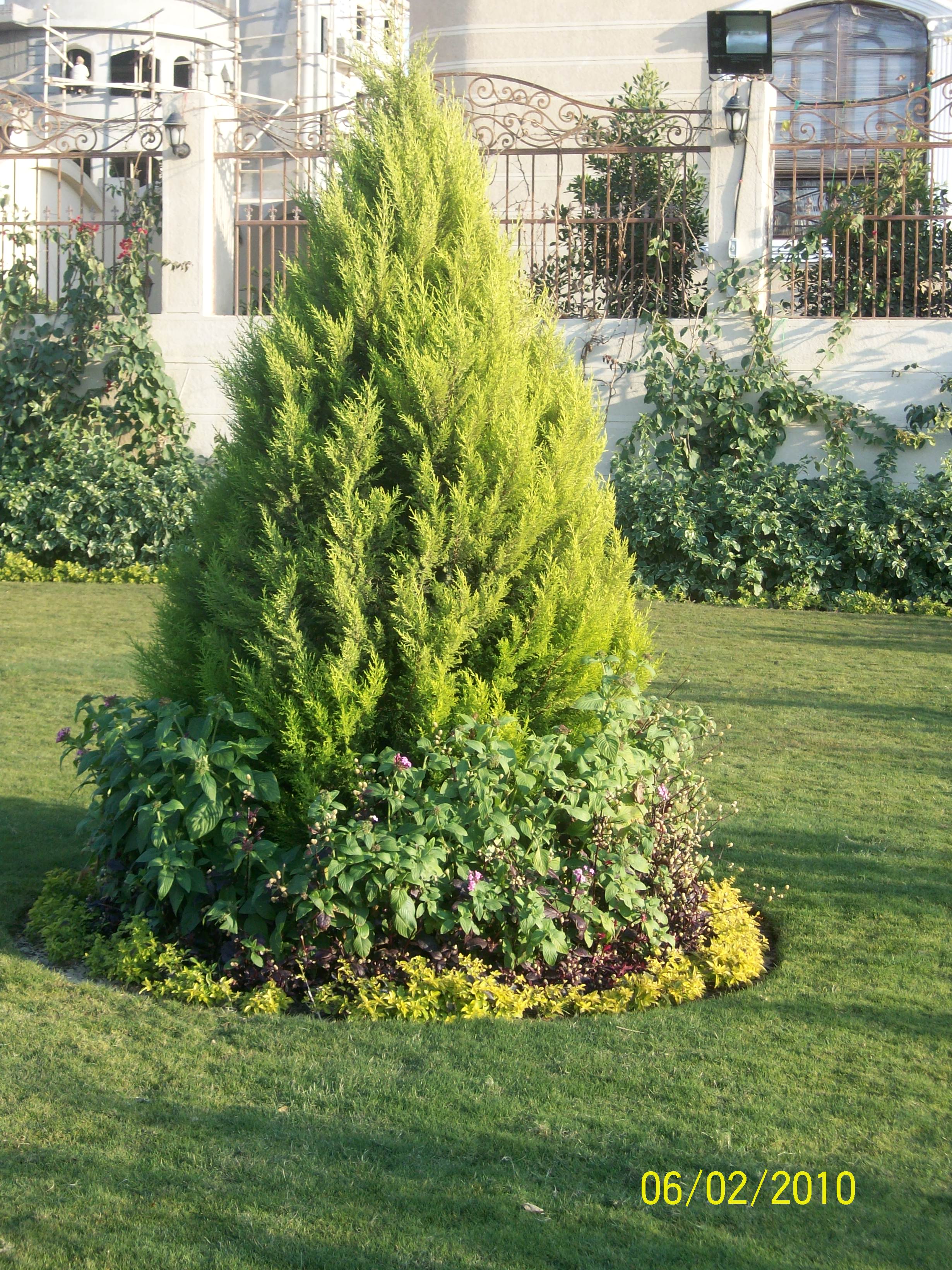 فيلا شخصية - 6 أكتوبر