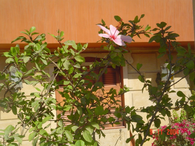 فيلا شخصية - قطامية هايتس 2 - صورة 4