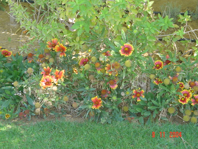 فيلا شخصية - قطامية هايتس 2 - صورة 7