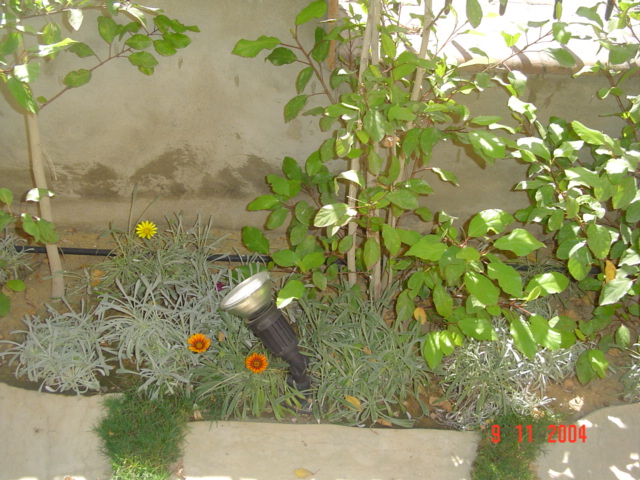 فيلا شخصية - قطامية هايتس 2 - صورة 14