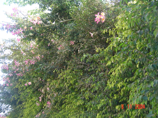 فيلا شخصية - قطامية هايتس 2 - صورة 16