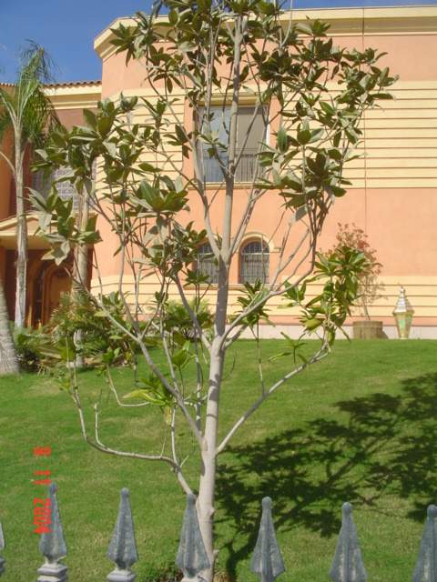 فيلا شخصية - قطامية هايتس 2 - صورة 21