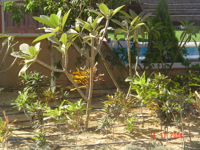 فيلا شخصية - قطامية هايتس 2 - صورة 25