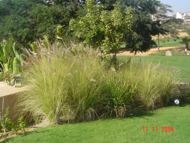 فيلا شخصية - قطامية هايتس 2 - صورة 37