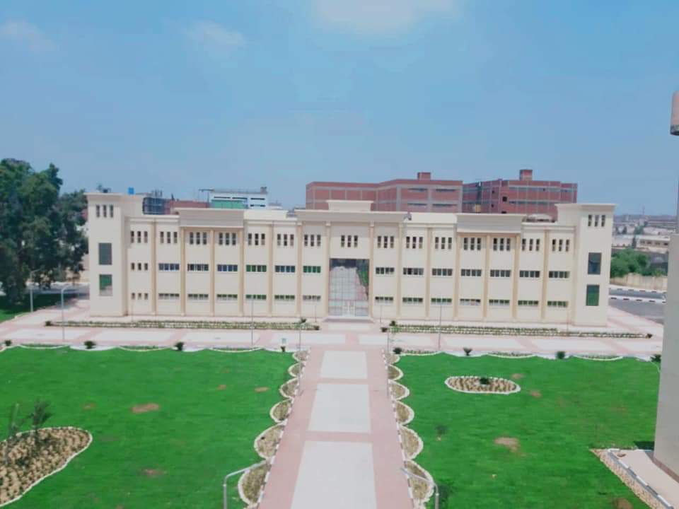 المعهد الفني الصناعي بقويسنا - صورة 1