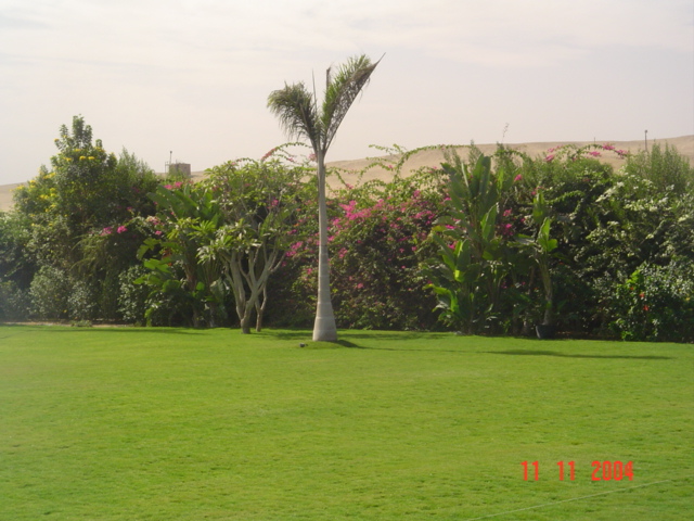 فيلا شخصية - سقارة - صورة 4