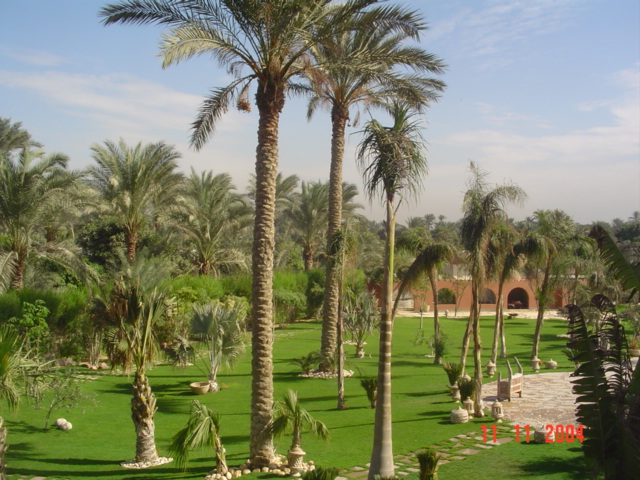 فيلا شخصية - سقارة - صورة 6