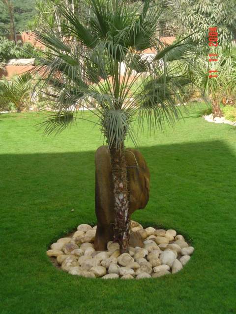 فيلا شخصية - سقارة - صورة 22