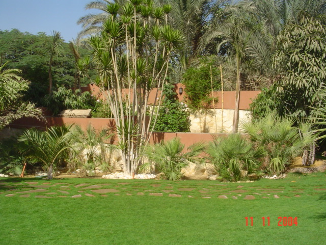 فيلا شخصية - سقارة - صورة 24