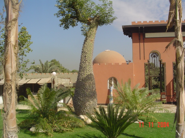 فيلا شخصية - سقارة - صورة 32