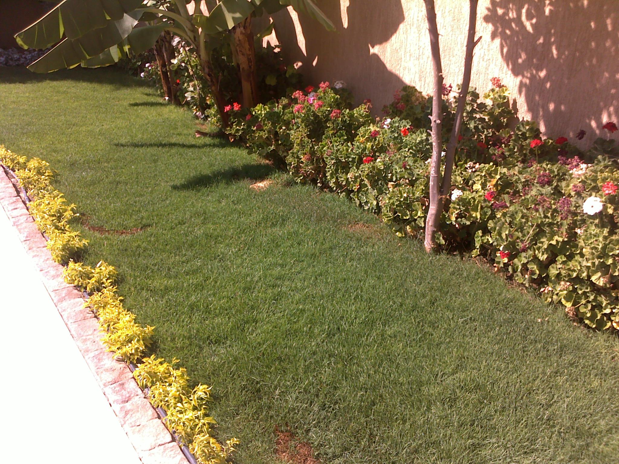 فيلا شخصية - طلائع - صورة 8